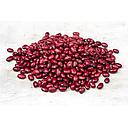 Frijol Rojo (Paquete 0.5 kg)