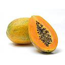 Papaya Hibrida Kilo